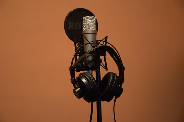 podcast studio microphones for enterprise IT interviews